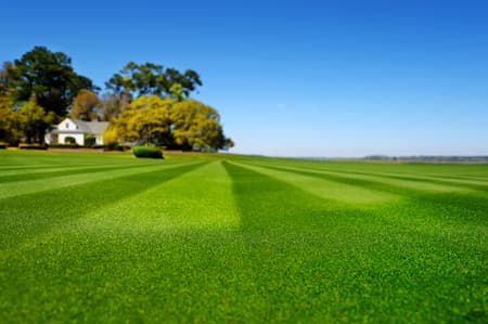 About lawn pros of tallahassee