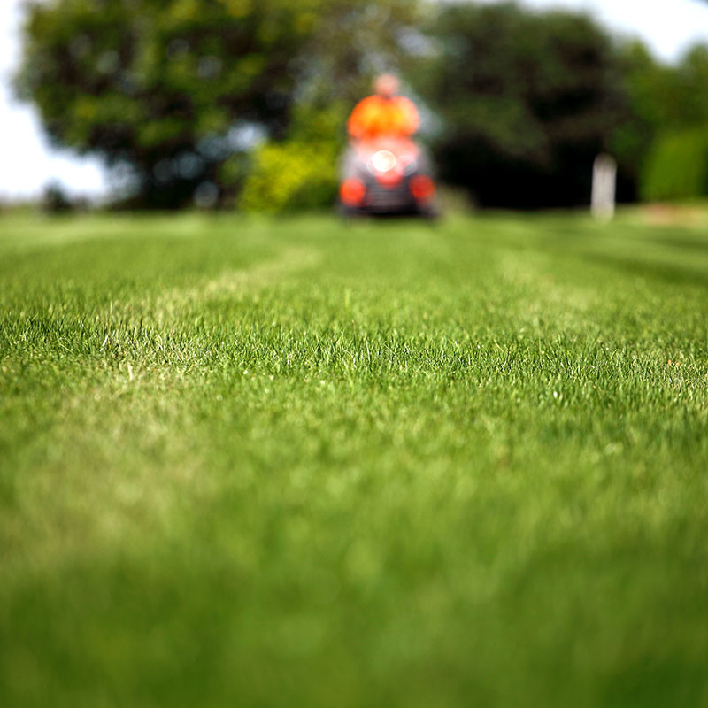 Lawn Mowing Banner