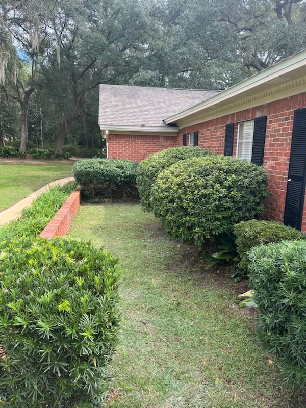 Our Latest Clean-Up Masterpiece in Northshire, Tallahassee