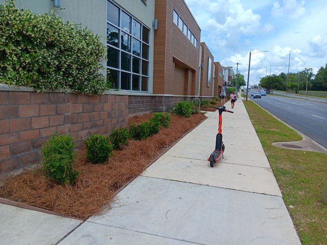 Transforming the Exterior of this Aldi with a Touch of Pine Straw in Tallahassee, FL